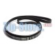 1280 J5 EL (BLJ504UN) Ремень OPTIBELT Zanussi не оригинал