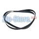 1181 H7 EL (C00059721) Ремень Indesit Original